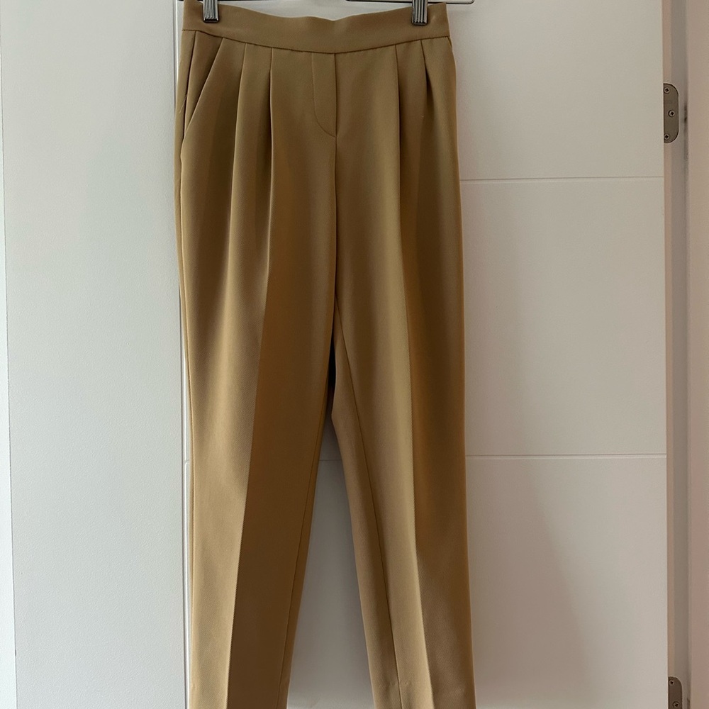 Aritzia Cohen Pant